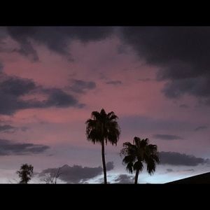 Meet your Posher, Aaron